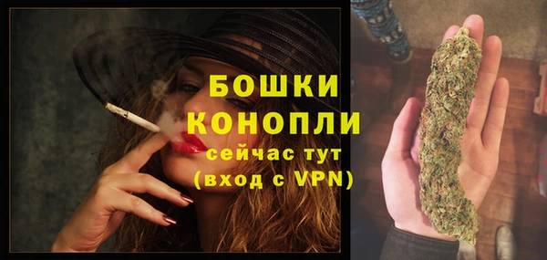 PSILOCYBIN Богородицк