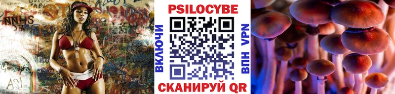 Купить где  Большой Камень  Галлюциногенные грибы Psilocybe 